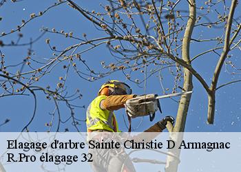 Elagage d'arbre  sainte-christie-d-armagnac-32370 R.Pro élagage 32