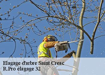 Elagage d'arbre  saint-creac-32380 R.Pro élagage 32