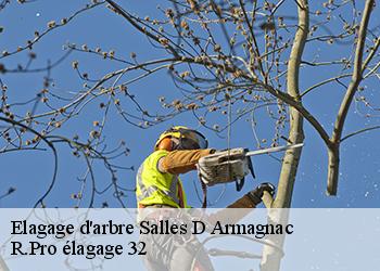Elagage d'arbre  salles-d-armagnac-32370 R.Pro élagage 32