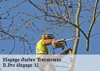 Elagage d'arbre  traverseres-32450 R.Pro élagage 32