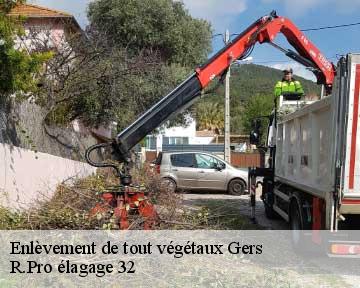 Enlèvement de tout végétaux 32 Gers  R.Pro élagage 32