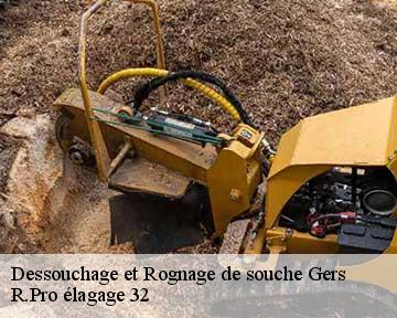 Dessouchage et Rognage de souche 32 Gers  R.Pro élagage 32