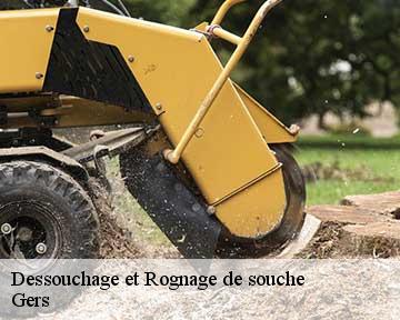 Dessouchage et Rognage de souche Gers 