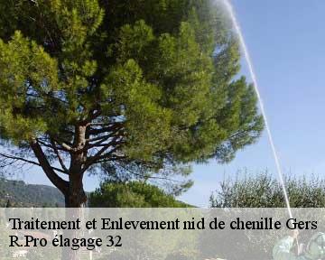 Traitement et Enlevement nid de chenille 32 Gers  R.Pro élagage 32