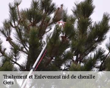 Traitement et Enlevement nid de chenille Gers 