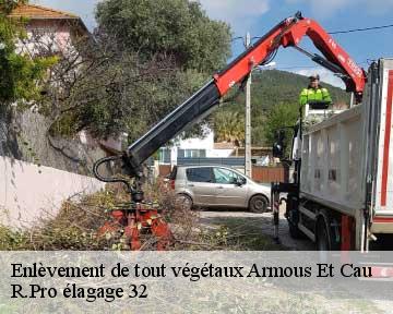 Enlèvement de tout végétaux  armous-et-cau-32230 R.Pro élagage 32