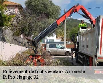 Enlèvement de tout végétaux  arrouede-32140 R.Pro élagage 32