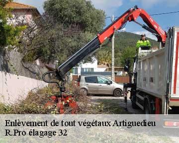 Enlèvement de tout végétaux  artiguedieu-32260 R.Pro élagage 32