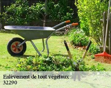 Enlèvement de tout végétaux  32290