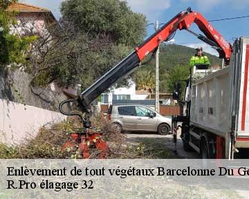 Enlèvement de tout végétaux  barcelonne-du-gers-32720 R.Pro élagage 32