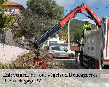 Enlèvement de tout végétaux  boucagneres-32550 R.Pro élagage 32