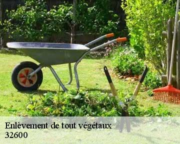 Enlèvement de tout végétaux  32600