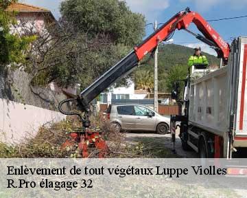 Enlèvement de tout végétaux  luppe-violles-32110 R.Pro élagage 32