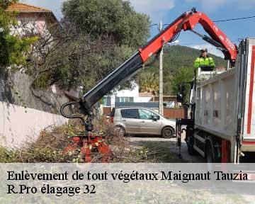 Enlèvement de tout végétaux  maignaut-tauzia-32310 R.Pro élagage 32