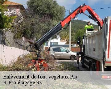 Enlèvement de tout végétaux  pis-32500 R.Pro élagage 32