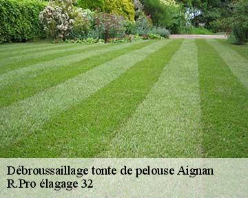 Débroussaillage tonte de pelouse  aignan-32290 R.Pro élagage 32