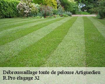 Débroussaillage tonte de pelouse  artiguedieu-32260 R.Pro élagage 32