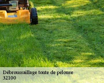 Débroussaillage tonte de pelouse  32100