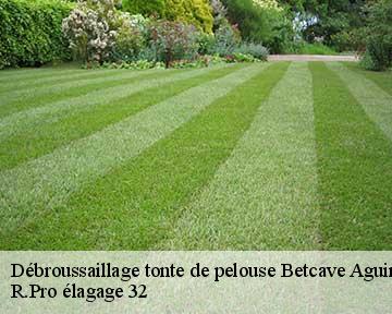 Débroussaillage tonte de pelouse  betcave-aguin-32420 R.Pro élagage 32