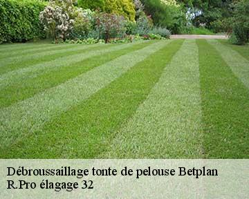 Débroussaillage tonte de pelouse  betplan-32730 R.Pro élagage 32