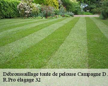 Débroussaillage tonte de pelouse  campagne-d-armagnac-32800 R.Pro élagage 32