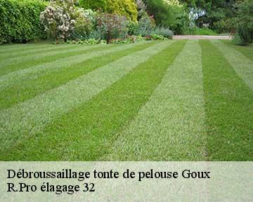 Débroussaillage tonte de pelouse  goux-32400 R.Pro élagage 32