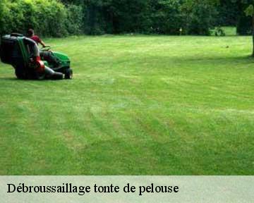 Débroussaillage tonte de pelouse