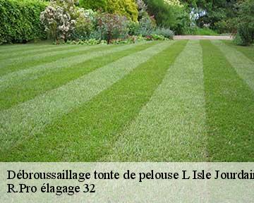 Débroussaillage tonte de pelouse  l-isle-jourdain-32600 R.Pro élagage 32