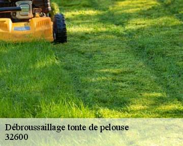 Débroussaillage tonte de pelouse  32600