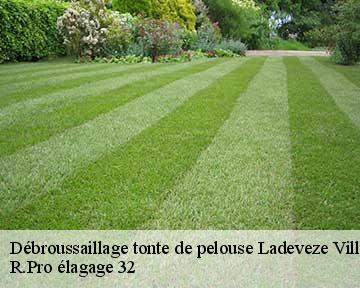 Débroussaillage tonte de pelouse  ladeveze-ville-32230 R.Pro élagage 32