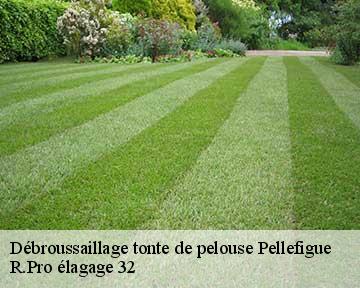 Débroussaillage tonte de pelouse  pellefigue-32420 R.Pro élagage 32