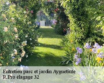 Entretien parc et jardin  ayguetinte-32410 R.Pro élagage 32