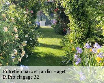 Entretien parc et jardin  haget-32730 R.Pro élagage 32