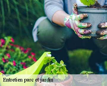 Entretien parc et jardin