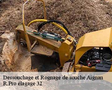 Dessouchage et Rognage de souche  aignan-32290 R.Pro élagage 32