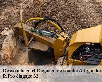 Dessouchage et Rognage de souche  artiguedieu-32260 R.Pro élagage 32