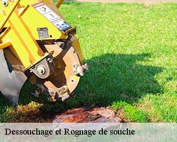 Dessouchage et Rognage de souche