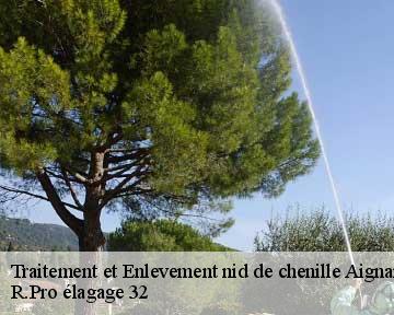 Traitement et Enlevement nid de chenille  aignan-32290 R.Pro élagage 32