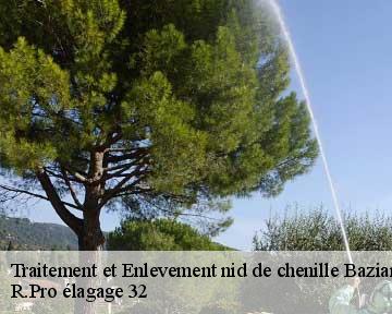 Traitement et Enlevement nid de chenille  bazian-32320 R.Pro élagage 32