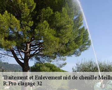 Traitement et Enlevement nid de chenille  meilhan-32420 R.Pro élagage 32