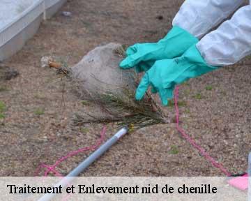 Traitement et Enlevement nid de chenille