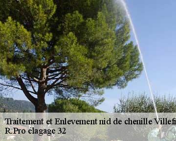 Traitement et Enlevement nid de chenille  villefranche-32420 R.Pro élagage 32